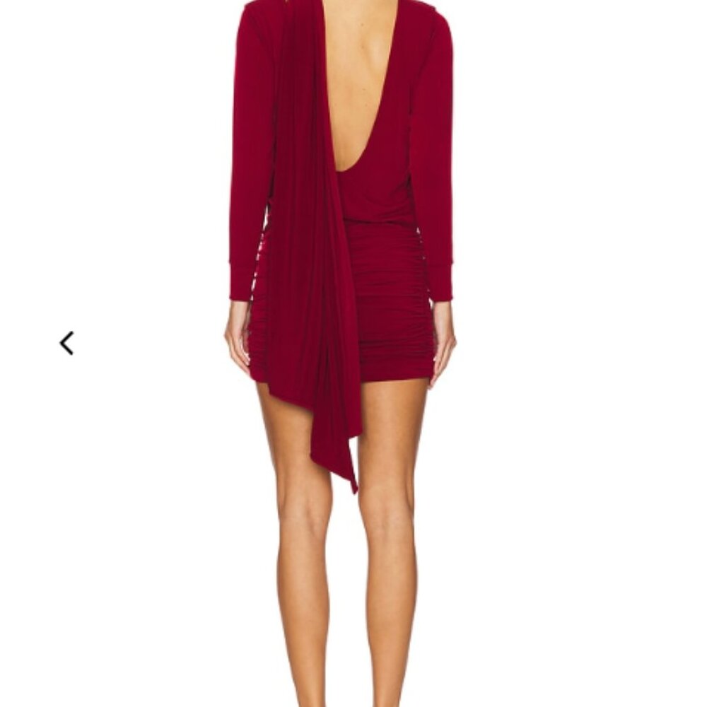 Leslie Amon Gstaad Mini Dress in Burgundy - Picture 4 of 4